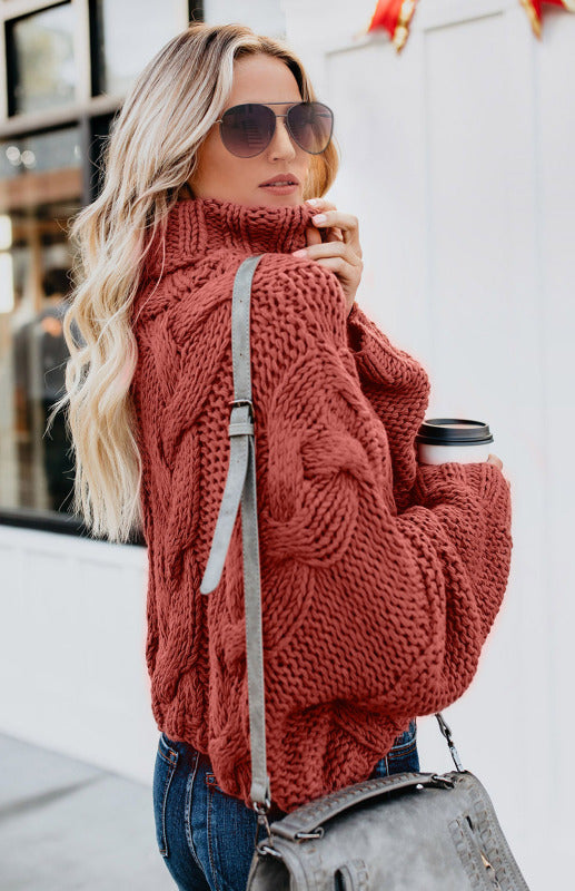 Women's  Thick Knit Turtleneck Pullover