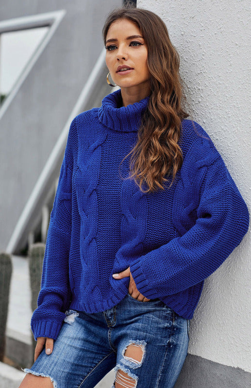 Women's  Thick Knit Turtleneck Pullover