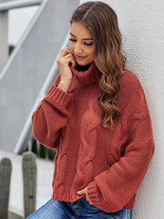 Women's  Thick Knit Turtleneck Pullover Sweater